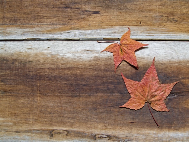 Photo fond d'automne avec feuille d'érable sur plancher en bois