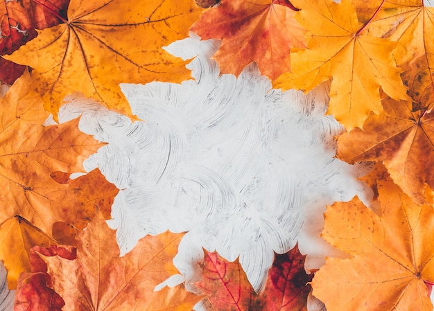 Fond d'automne avec feuille d'érable