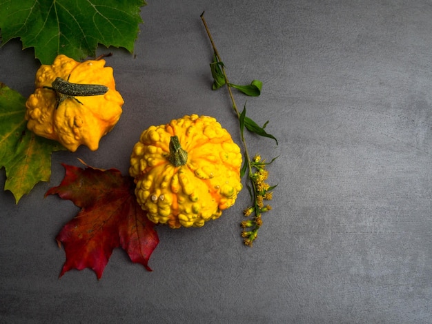 Fond d'automne avec des feuilles colorées différentes citrouilles