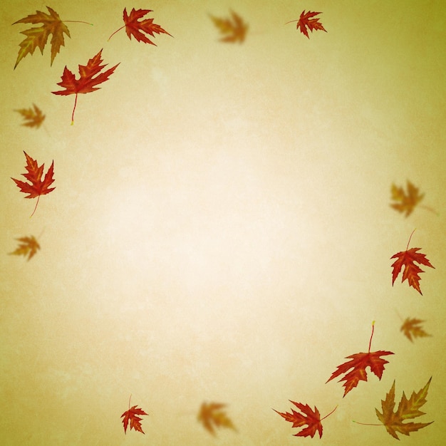 Fond d'automne avec des feuilles colorées