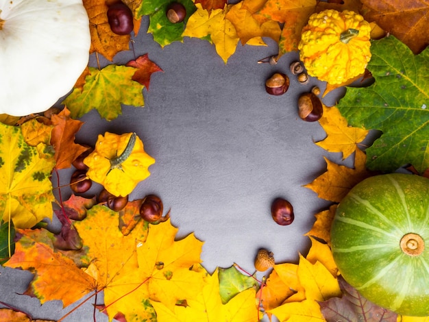 Fond d'automne avec des feuilles d'érable colorées et des citrouilles Cadre de récolte d'automne avec espace de copie Maquette pour les offres saisonnières et vue de dessus de carte postale de vacances