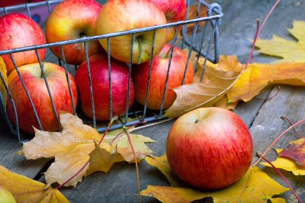 Fond d'automne - feuilles d'érable sur les pommes une table en bois