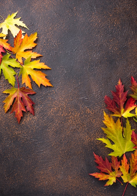 Fond d'automne avec des feuilles d'érable