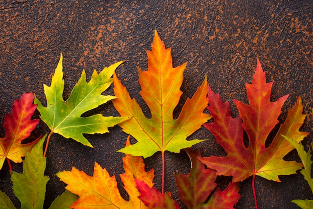 Fond d'automne avec des feuilles d'érable