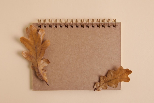 Fond d'automne feuilles mortes pétales secs fleurs séchées carnet de croquis vierge maquette avec du papier kraft brun vue de dessus mise à plat