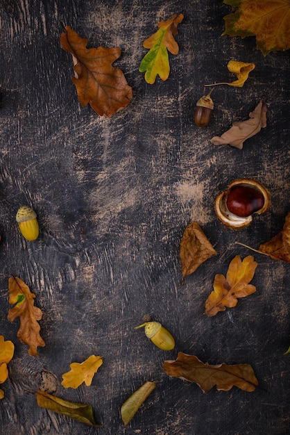 Fond d'automne avec des feuilles sèches