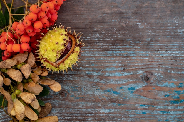 Fond d'automne de feuilles tombées et de fruits avec place vintage sur une vieille table en bois. Concept de jour de Thanksgiving.
