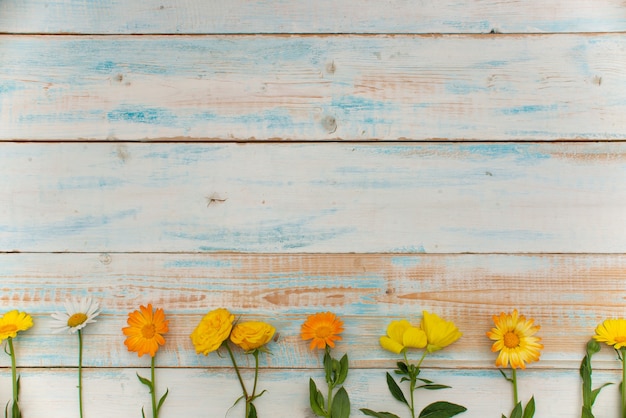 Fond d'automne fleurs d'automne à plat. Concept de temps d'automne avec un espace vide pour le texte