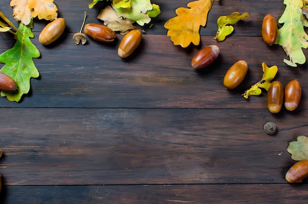 Fond d&#39;automne avec des glands et des feuilles de chêne