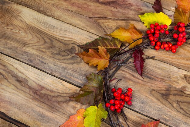 Fond d'automne avec guirlande de porte baies mûres rowan,