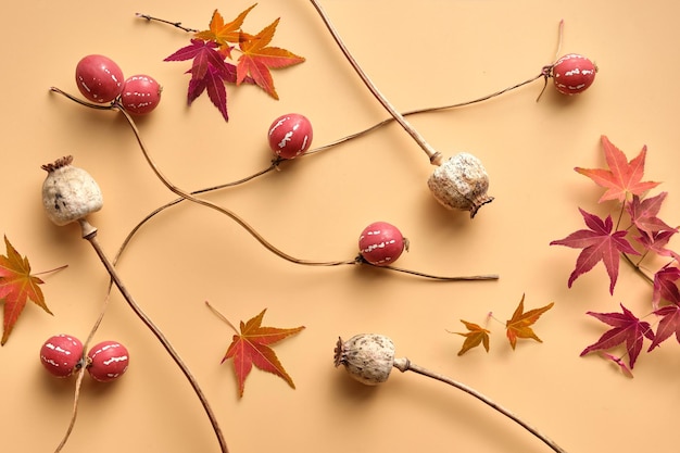 Fond d'automne avec de minuscules citrouilles orange rouge Feuilles d'érable d'automne et capsules de gousses de pavot sèches Mise à plat Vue de dessus sur papier orange