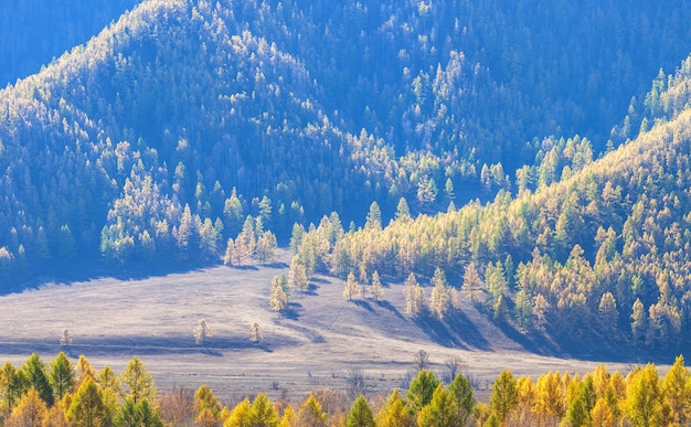 Fond d'automne naturel boisé