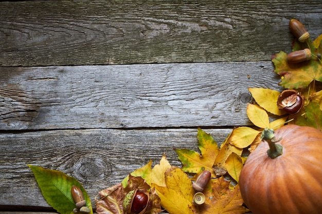 Fond d'automne Thanksgiving sur une surface en bois sombre, citrouilles, feuilles flétries, glands et châtaignes