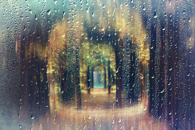 fond d'automne en verre humide, pluie dans le parc surface humide en verre avec réflexion, gouttes de pluie sur la vitre trempée, fenêtre d'arrière-plan dans le parc d'automne, paysage pluvieux automnal flou