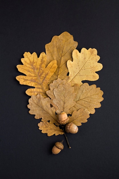 Fond d'automne. Vue de dessus des feuilles de chêne sèches et des glands sur fond noir. Emplacement vertical.