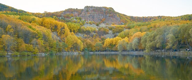 Fond d&#39;automne