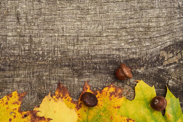 Fond d&#39;automne