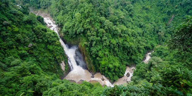 Fond de bannière panoramique de scène de paysage de forêt tropicale à utiliser dans le concept d'écologie environnementale et d'énergie durable ou de bois sauvage du jour de la Terre scénique à l'aide de fond d'écran de spa et de tourisme