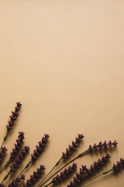 Fond beige naturel avec une fleur sèche Vue de dessus Copiez l'espace pour le texte