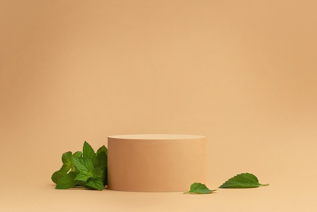 Fond beige avec podium et fond de menthe pour les produits cosmétiques
