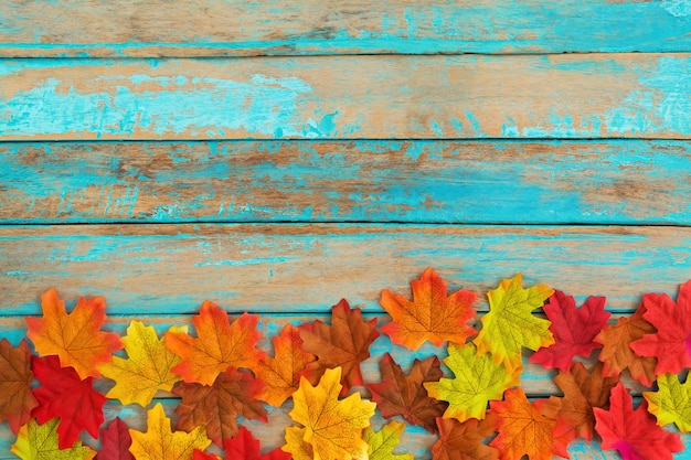 Fond de belles feuilles d&#39;érable automne