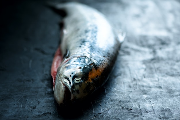 Fond de béton noir foncé de poisson de saumon frais préparé pour le classement. Espace de copie, vue de dessus