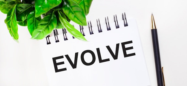 Sur fond blanc une plante verte, un cahier blanc avec l'inscription EVOLVE et un stylo