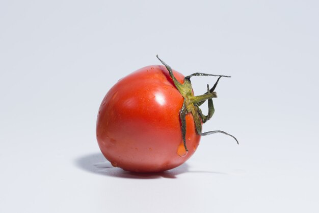 Fond blanc de tomate