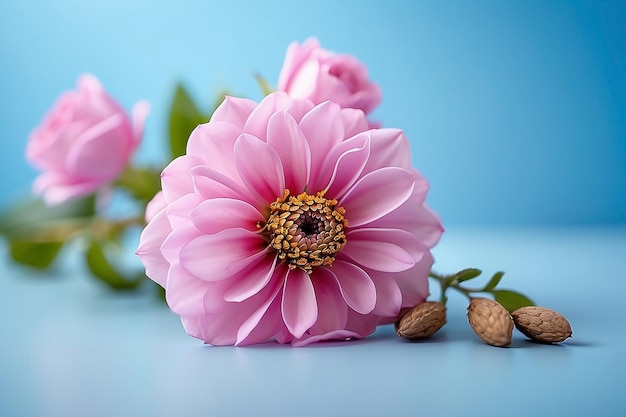 fond bleu clair avec de belles fleurs