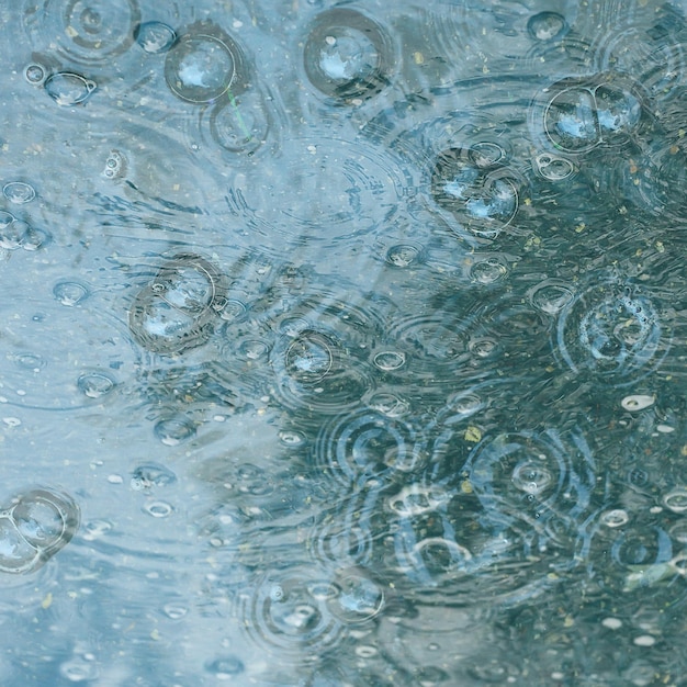 Photo fond bleu flaque de pluie / gouttes de pluie, cercles sur une flaque, bulles dans l'eau, le temps est à l'automne