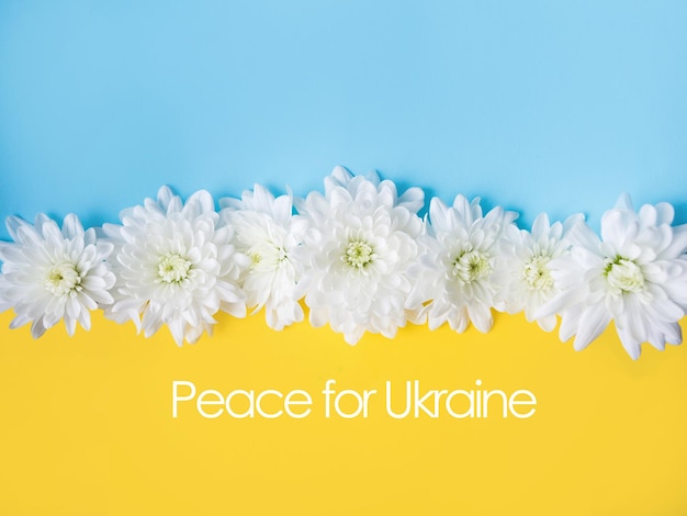 Fond bleu et jaune avec des fleurs blanches dessus. Aux côtés de l'Ukraine