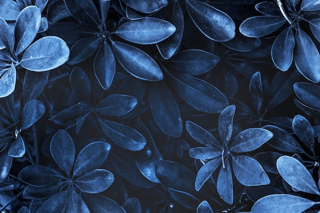 Fond bleu à motifs de plantes à feuilles