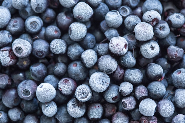 Fond de bleuets congelés