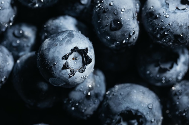 Fond de bleuets mûrs Alimentation saine