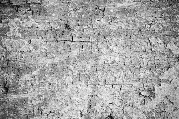 Vieux Papier Texture Noir Et Blanc Rugueux Gratter Fond De Papier