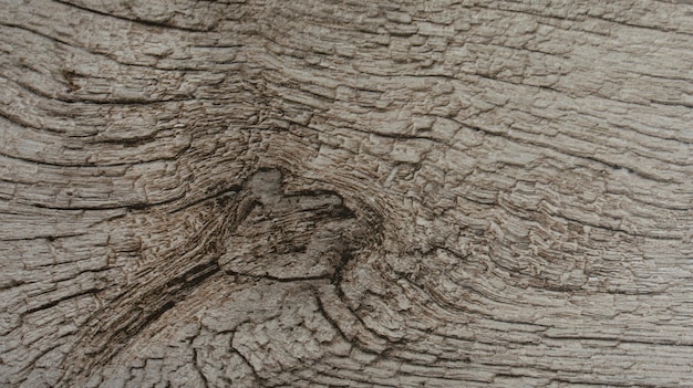 Fond en bois gris de bois rustique en détresse patiné avec de la peinture blanche délavée montrant du grain de bois