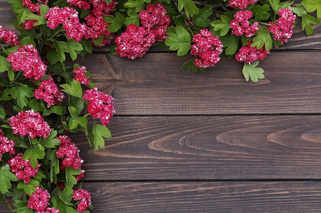 fond en bois marron avec cadre de fleurs roses