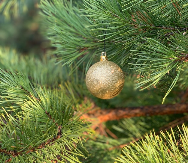 Fond en bois de nouvel an et de Noël