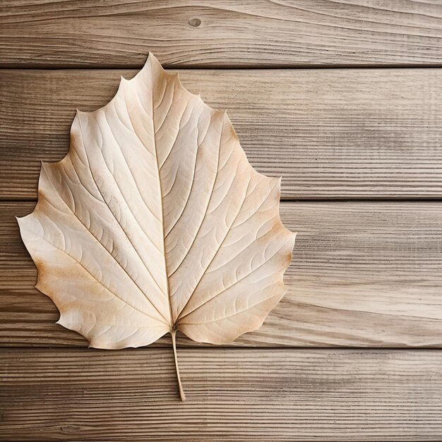 Photo un fond en bois avec une photo de feuille