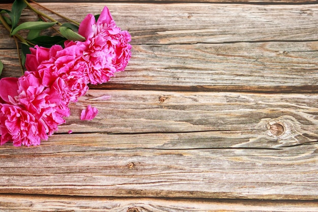 Fond en bois avec des pivoines roses