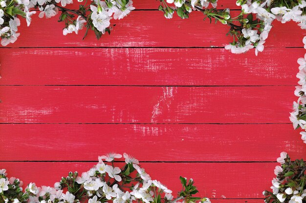 Fond en bois rouge avec des fleurs de cerisier