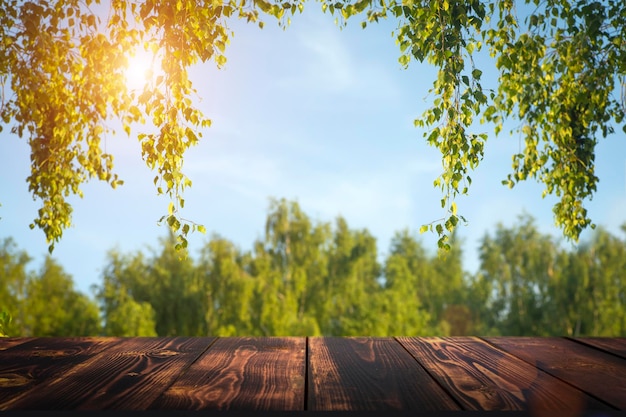 Fond de bois de table dans la forêt Fond d'une forêt d'été verte floue avec la lumière du soleil