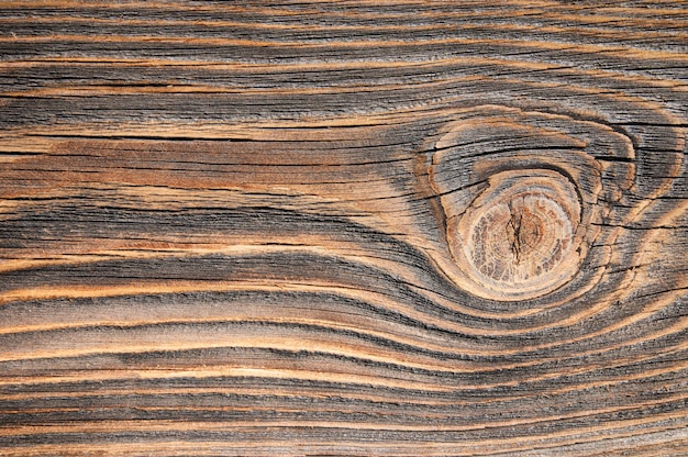 Fond de bois texturé avec motif en bois naturel