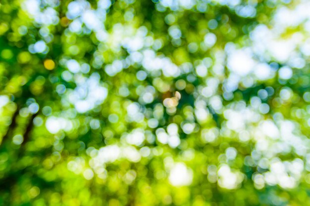 Fond de bokeh abstrait et défocalisé Concept écologique