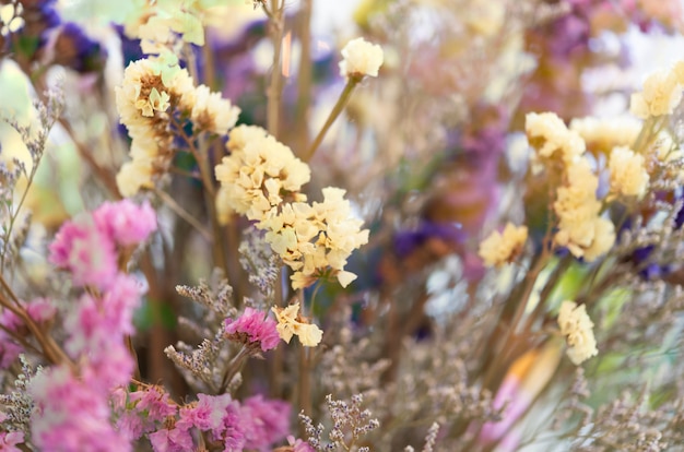 Fond de bouquet de belles fleurs séchées