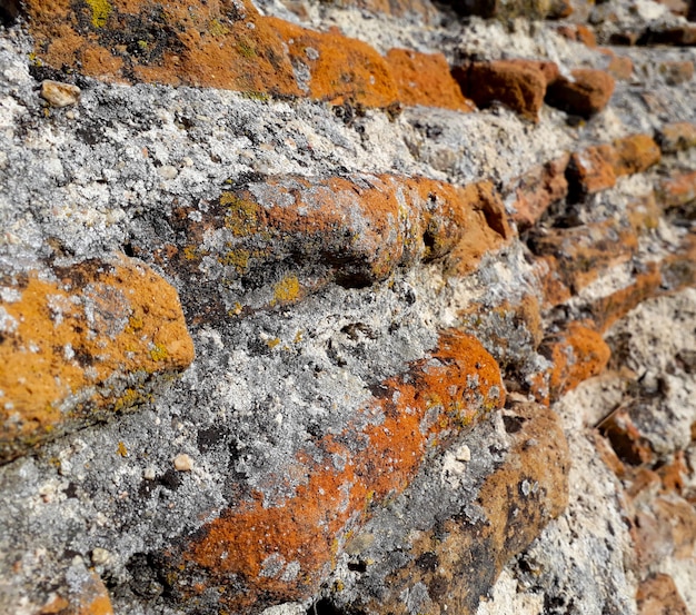 fond avec des briques très usées et bouchent