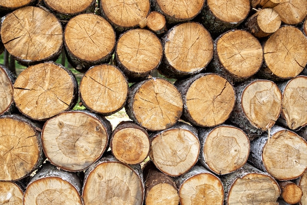 Fond de bûches en bois scié naturel empilé