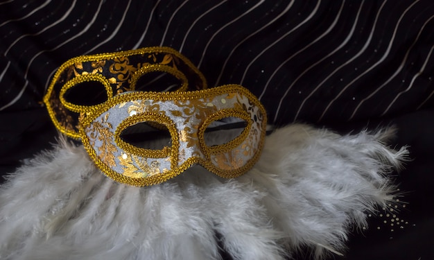 Fond de carnaval élégant avec des masques et des plumes