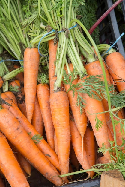 Fond de carotte orange au marché