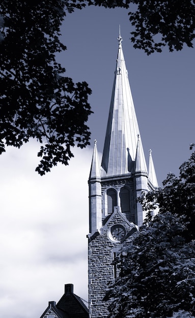 Fond de cathédrale de Trondheim vertical hd